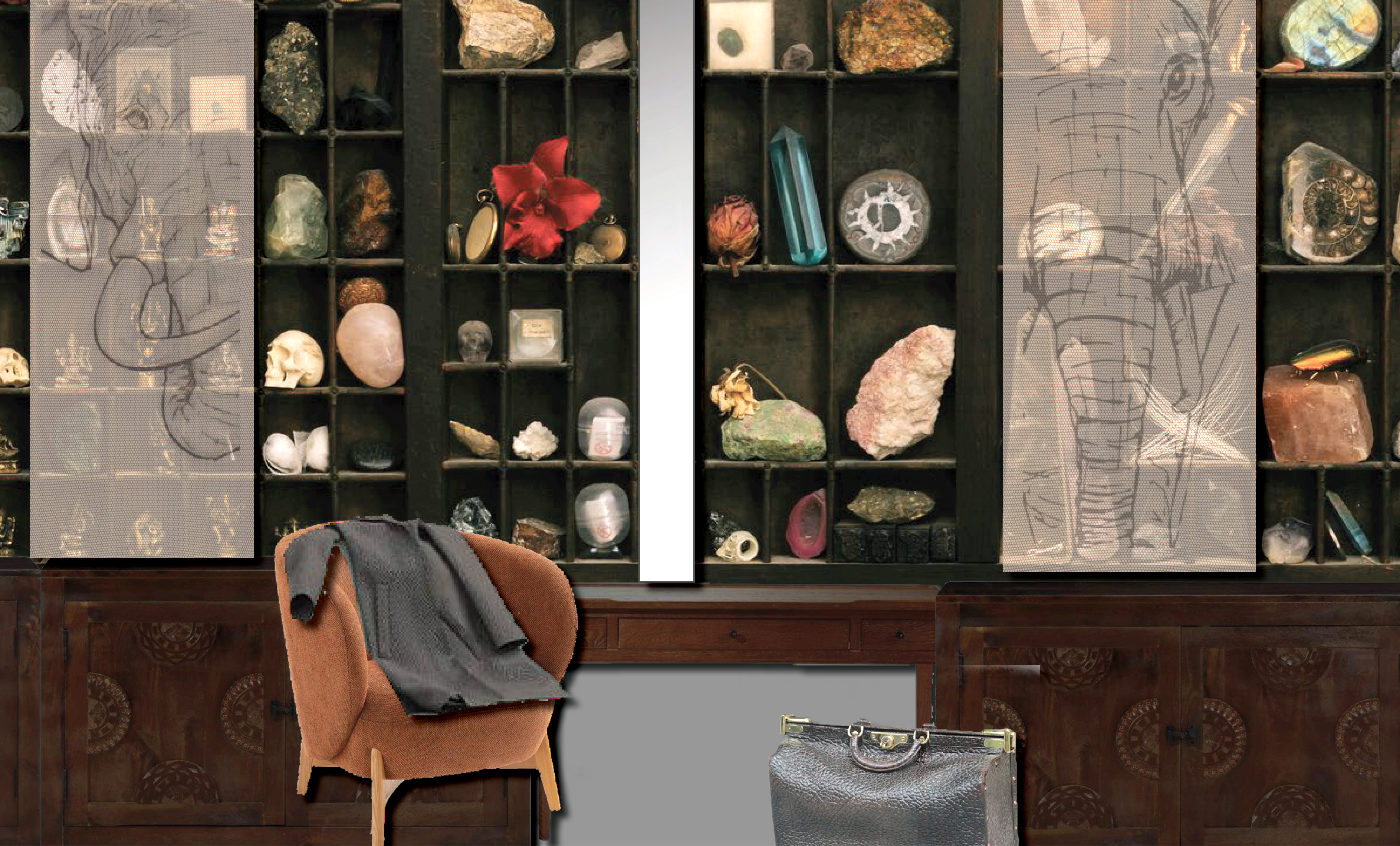 Projet Cabinet de Curiosoté Lilia Ducrocq et Maureen Thomas.png
