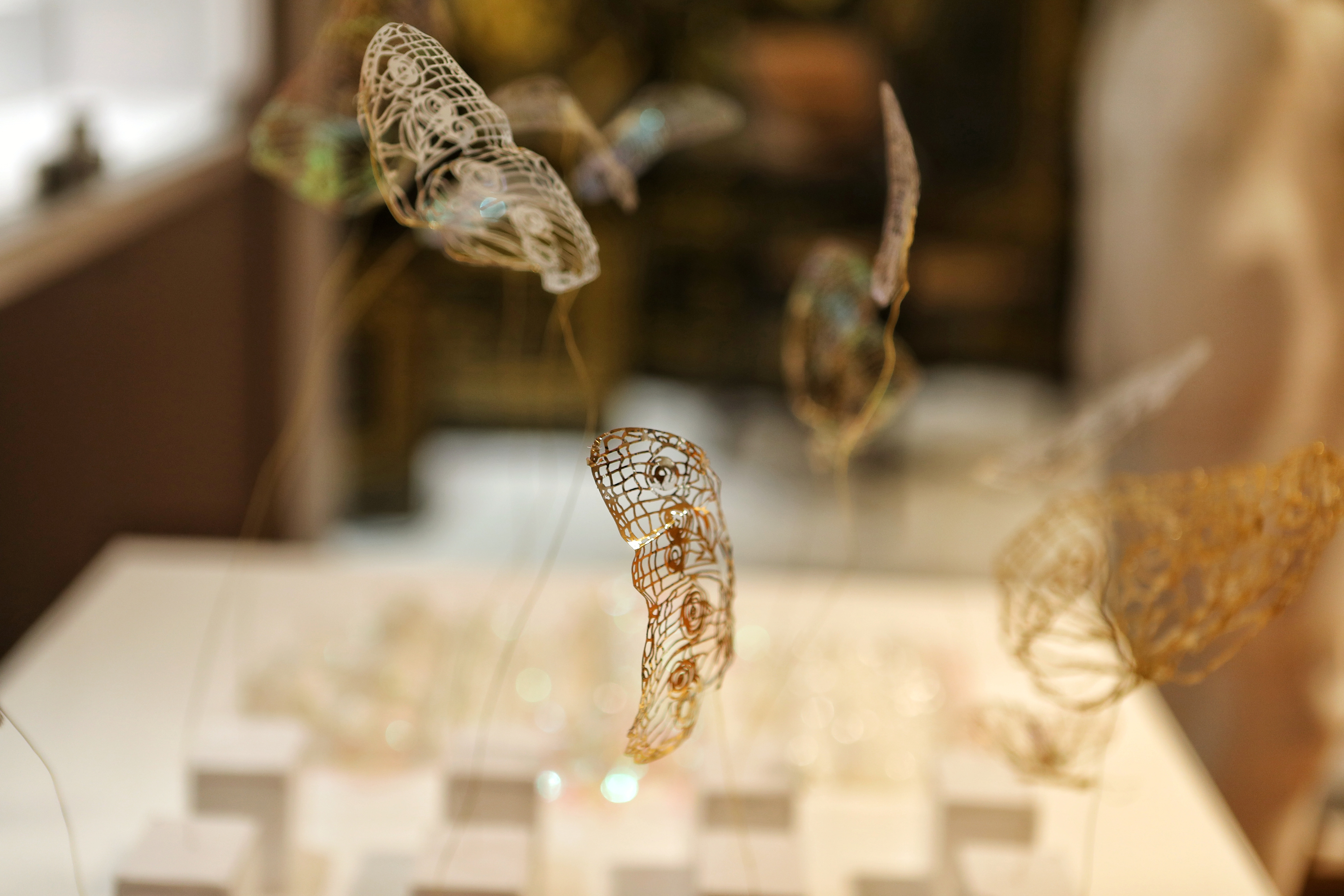 Exposition - Clara Mille - « L ' E M P E R E U R » 5 © Pierre Holley.jpg