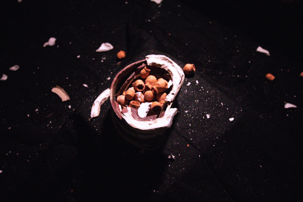 AU CREUX DES FOURS_SARAH GAUTHIER_02 - Grande.jpeg